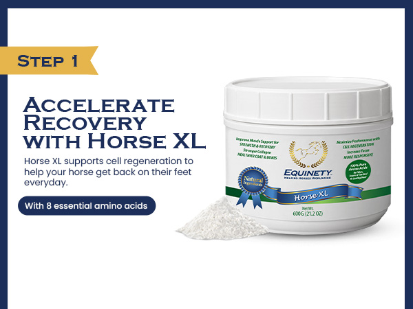Equinety Ultimate OEC Horse Oil for Coat, Hoof & Joint Support, 64 fl. oz.