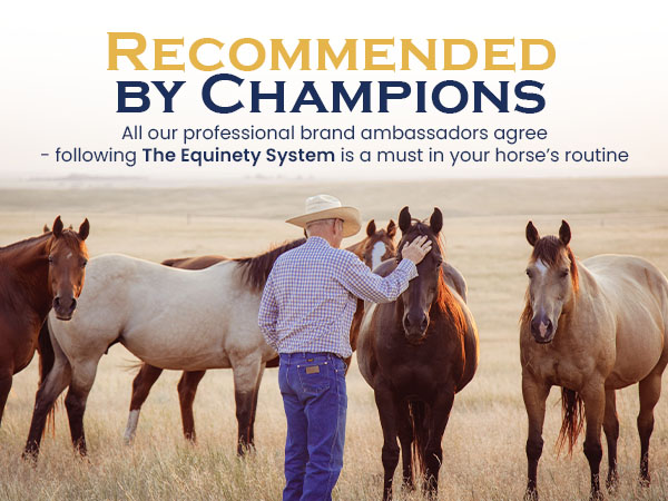Equinety Ultimate OEC Horse Oil for Coat, Hoof & Joint Support, 64 fl. oz.
