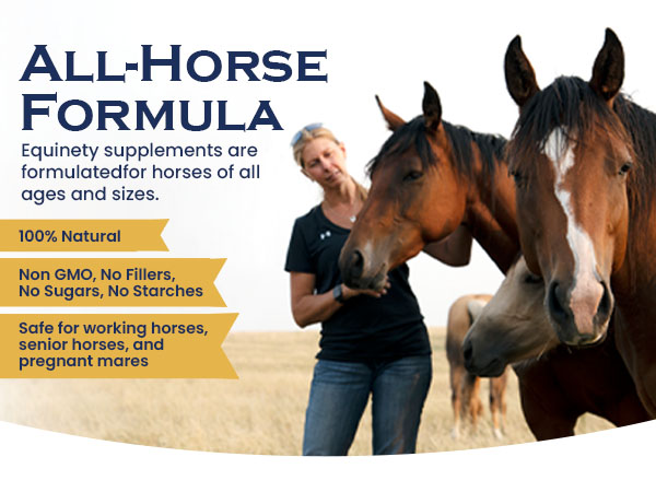 Equinety Ultimate OEC Horse Oil for Coat, Hoof & Joint Support, 64 fl. oz.