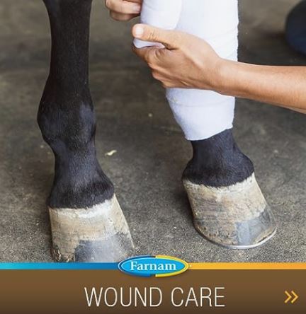 Farnam Super 14 Healthy Skin & Coat Supplement for Horses, Keeps Coats Shiny & Gleaming Year-Round 2.75 Pound, 44 Day Supply