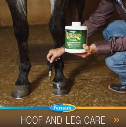 Farnam Super 14 Healthy Skin & Coat Supplement for Horses, Keeps Coats Shiny & Gleaming Year-Round 5 Pound, 80 Day Supply
