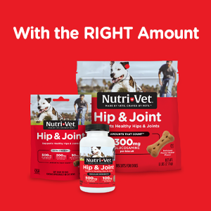 Nutri-Vet Dog Allergy Supplement, Itch & Allergy Support, 60 Count