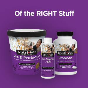 Nutri-Vet Dog Allergy Supplement, Itch & Allergy Support, 60 Count