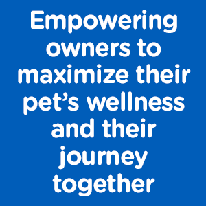 Nutri-Vet Dog Allergy Supplement, Itch & Allergy Support, 60 Count