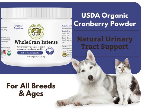 Organic Cranberry Supplement for Dogs and Cats, 60 Scoops