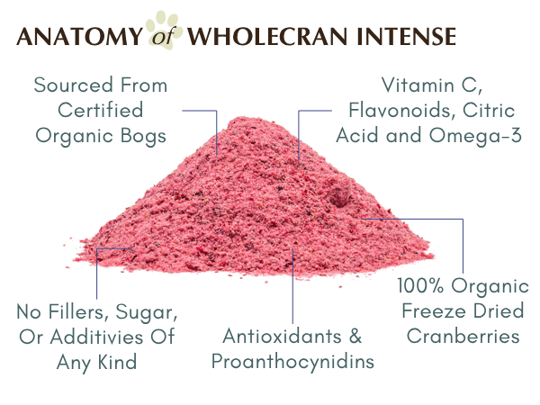 Organic Cranberry Supplement for Dogs and Cats, 60 Scoops