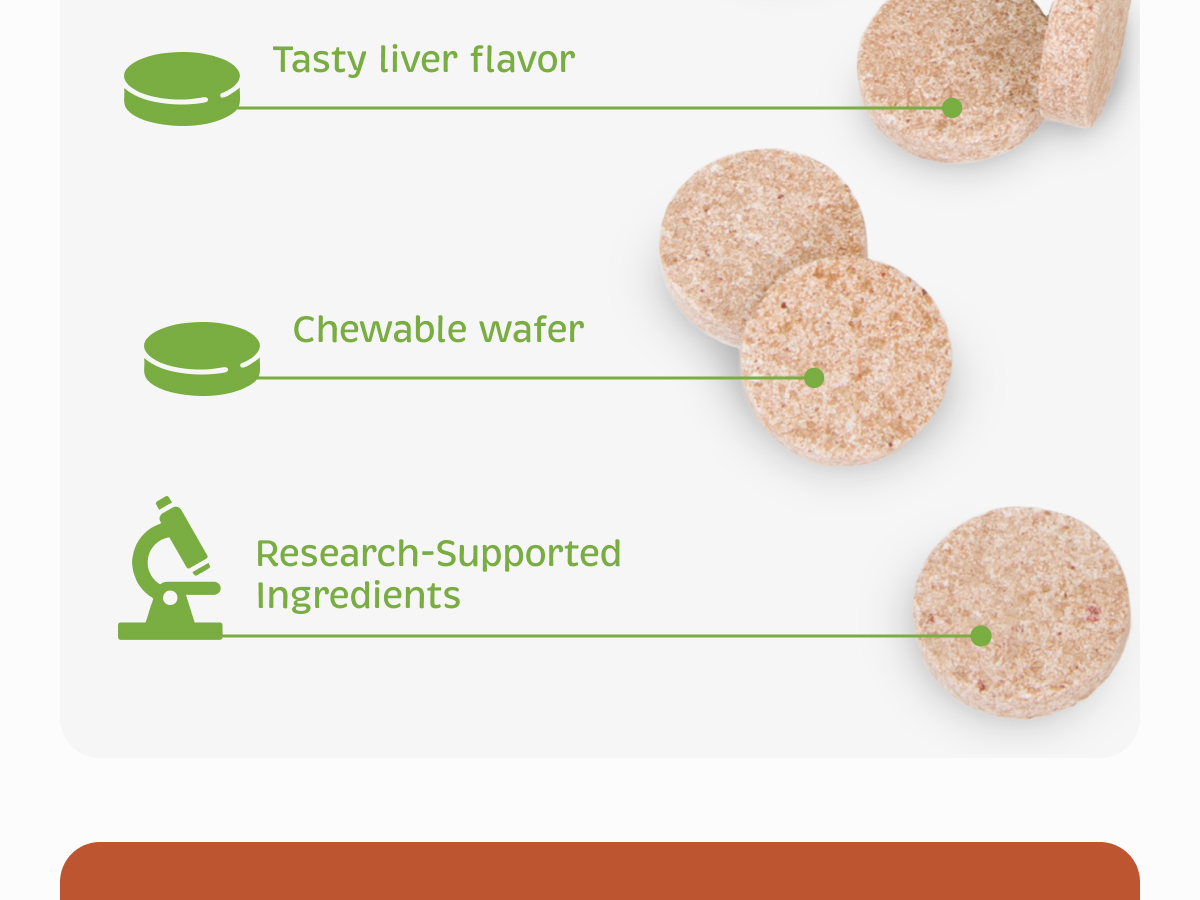 Spirited Paw Health + Vitality, Liver-Flavored, 90 Chewable Wafers