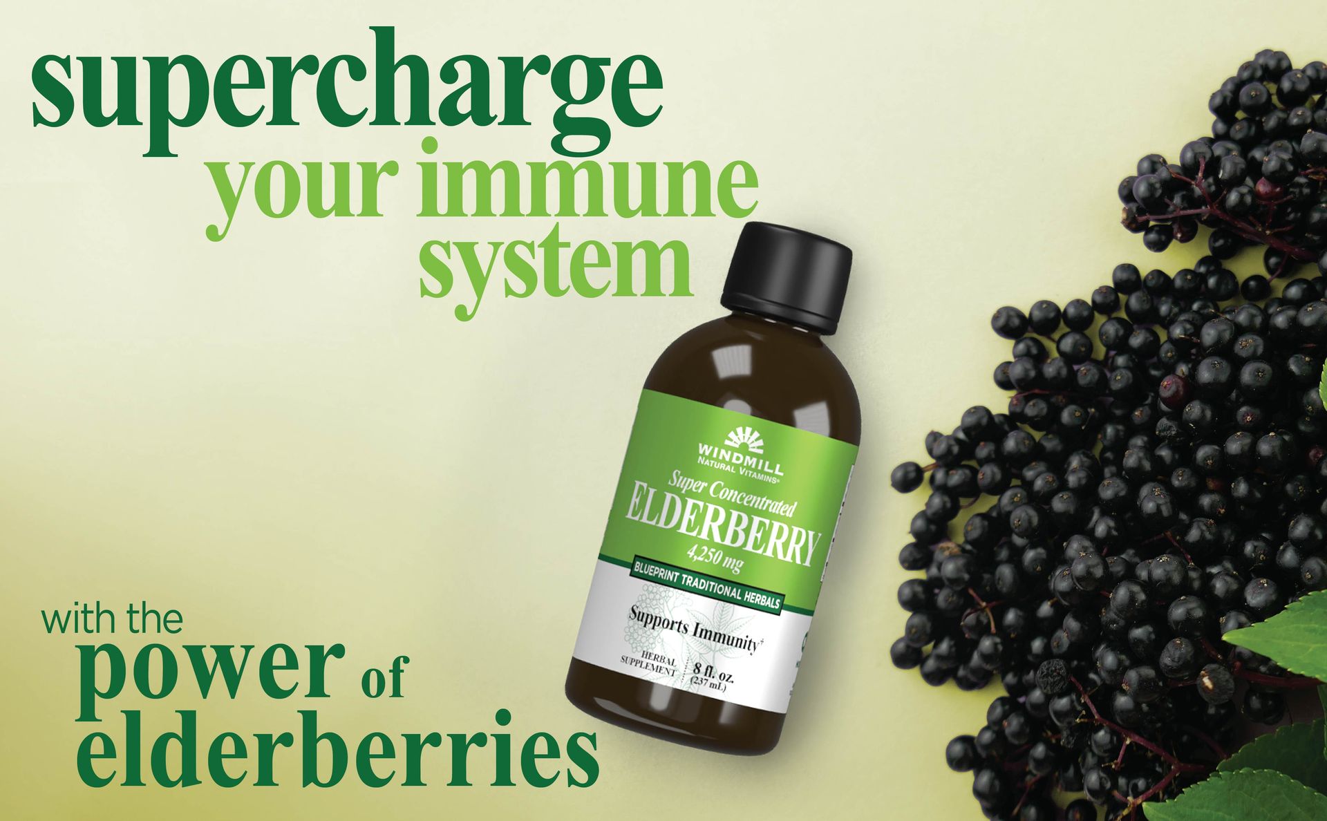 Windmill Natural Vitamins Super Concentrated Black Elderberry, Supports Immune System, Rich in Antioxidants, 8 Fl Oz