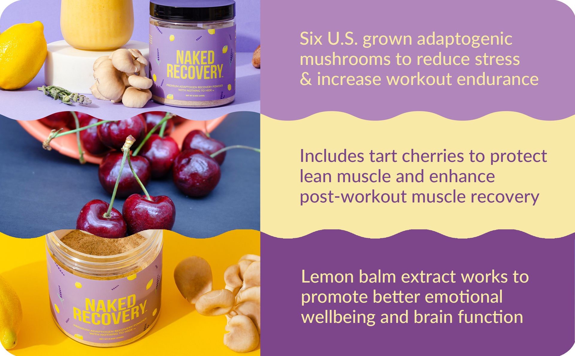 NAKED Recovery - Mushroom Supplement Powder - Lions Mane, Cordyceps, Reishi, Tart Cherries, Lemon Balm - Adaptogen Wellness Formula, Stress Relief, Muscle Recovery - 30 Servings