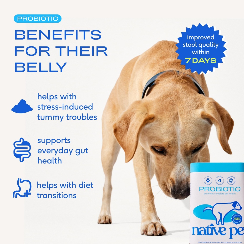 native-pet-goat-milk-powder-for-dogs-60--3.jpg