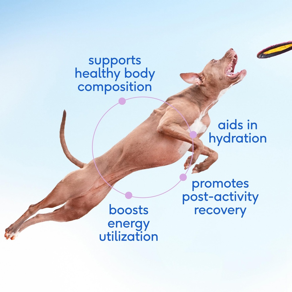 native-pet-the-daily-dog-supplement-30-s-3.jpg