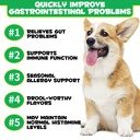 probiotics-chews-for-dogs-pre-probiotic--5.jpg