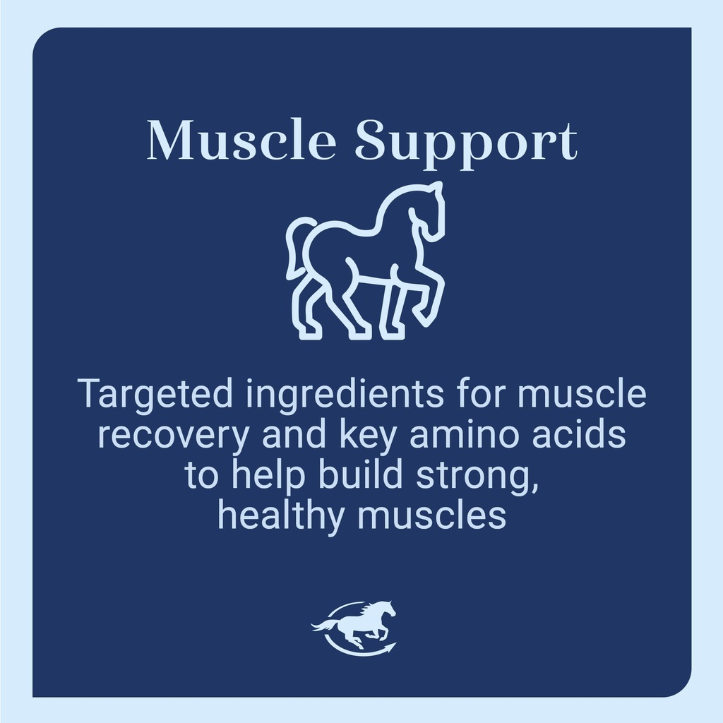 muscle-eq-powder-muscle-supplement-with--4.jpg