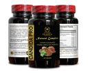 candida-support-capsules-with-powerful-h-2.jpg