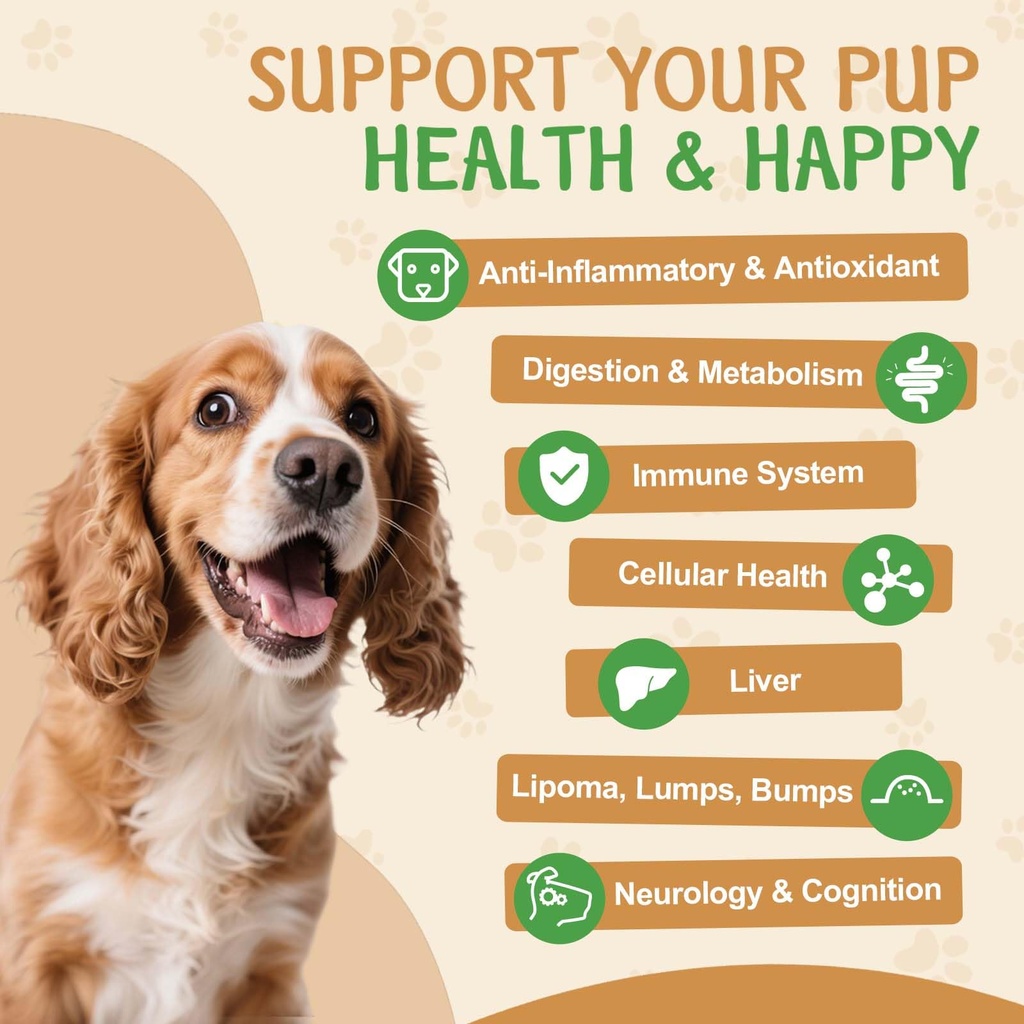 9-in-1-mushroom-supplement-for-dogs-turk-4.jpg
