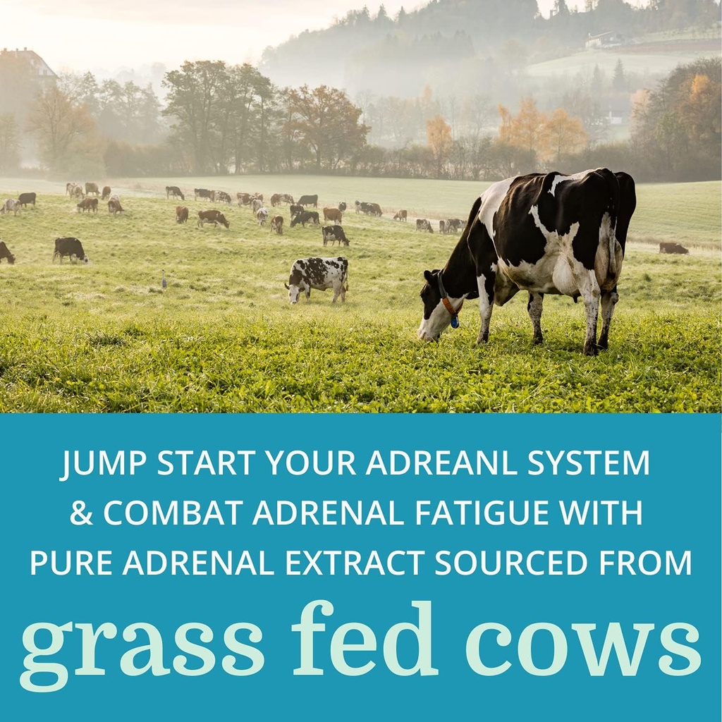 adrenergy-6-pack-best-process-alkaline-n-6.jpg
