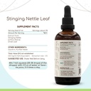 stinging-nettle-leaf-b120-alcohol-free-h-3.jpg