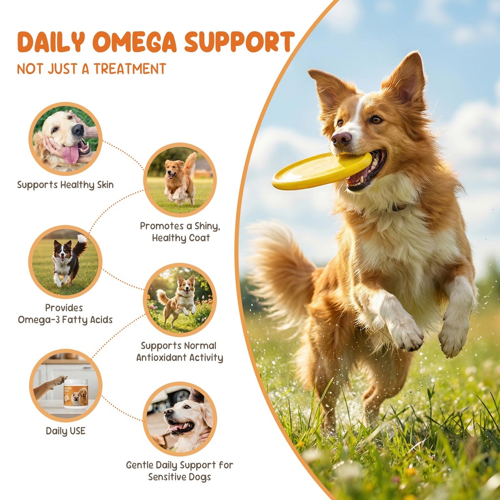 omega-3-fish-oil-90-soft-chews-for-dogs--71W4o8W43kL.jpg