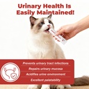 cat-uti-treatment-kidney-nutrition-suppl-81PbW9gdKVL.jpg