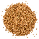 food-to-live-organic-alfalfa-sprouting-s-71zPGtiIWqL.jpg