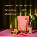 cosmix-no-nonsense-plant-protein-500gm-2-81rSbbKzi4L.jpg