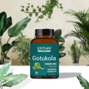 gotu-kola-tablets-10000mg-ayurvedic-90-c-71mYhPRZDPL.jpg