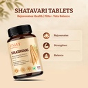 jiva-shatavari-tablets-500gm-100-pure-na-71VtDKbLHmL.jpg
