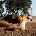 equithrive-electrolyte-pellets-horse-sup-91H75+gtc+L.jpg