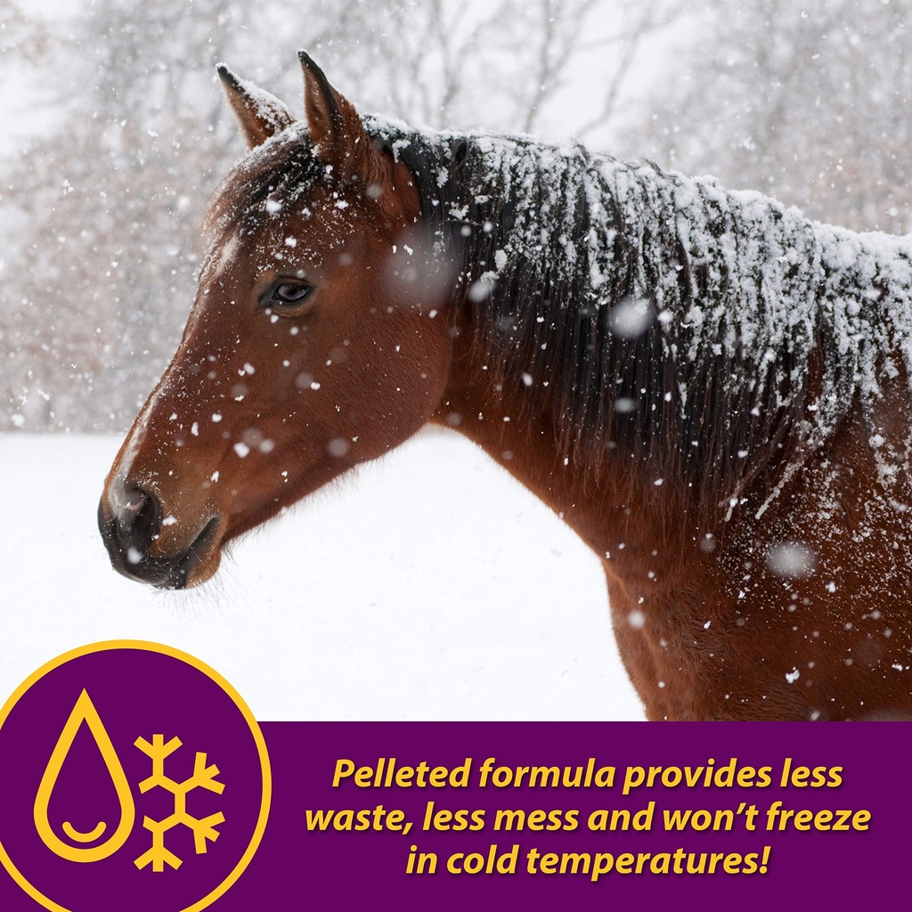 farnam-horse-health-red-cell-pellets-vit-91i1pABOKRL.jpg
