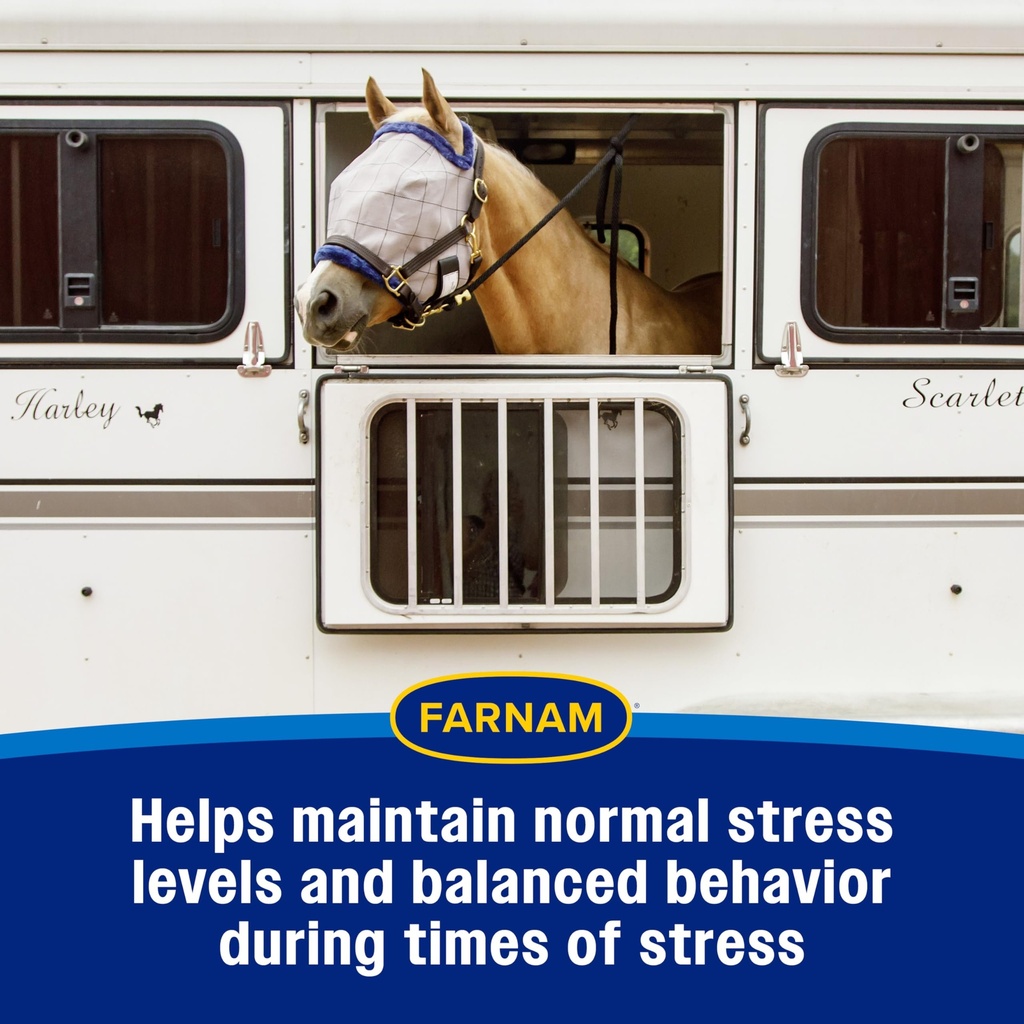 farnam-quietex-ii-pellets-daily-horse-ca-81fK-gd12SL.jpg