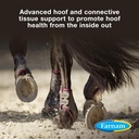 farnam-horseshoer-s-secret-extra-strengt-91aRmY8+aNL.jpg