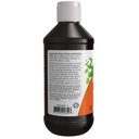 now-foods-elderberry-liquid-8-oz-pack-of-514dW7gProL.jpg