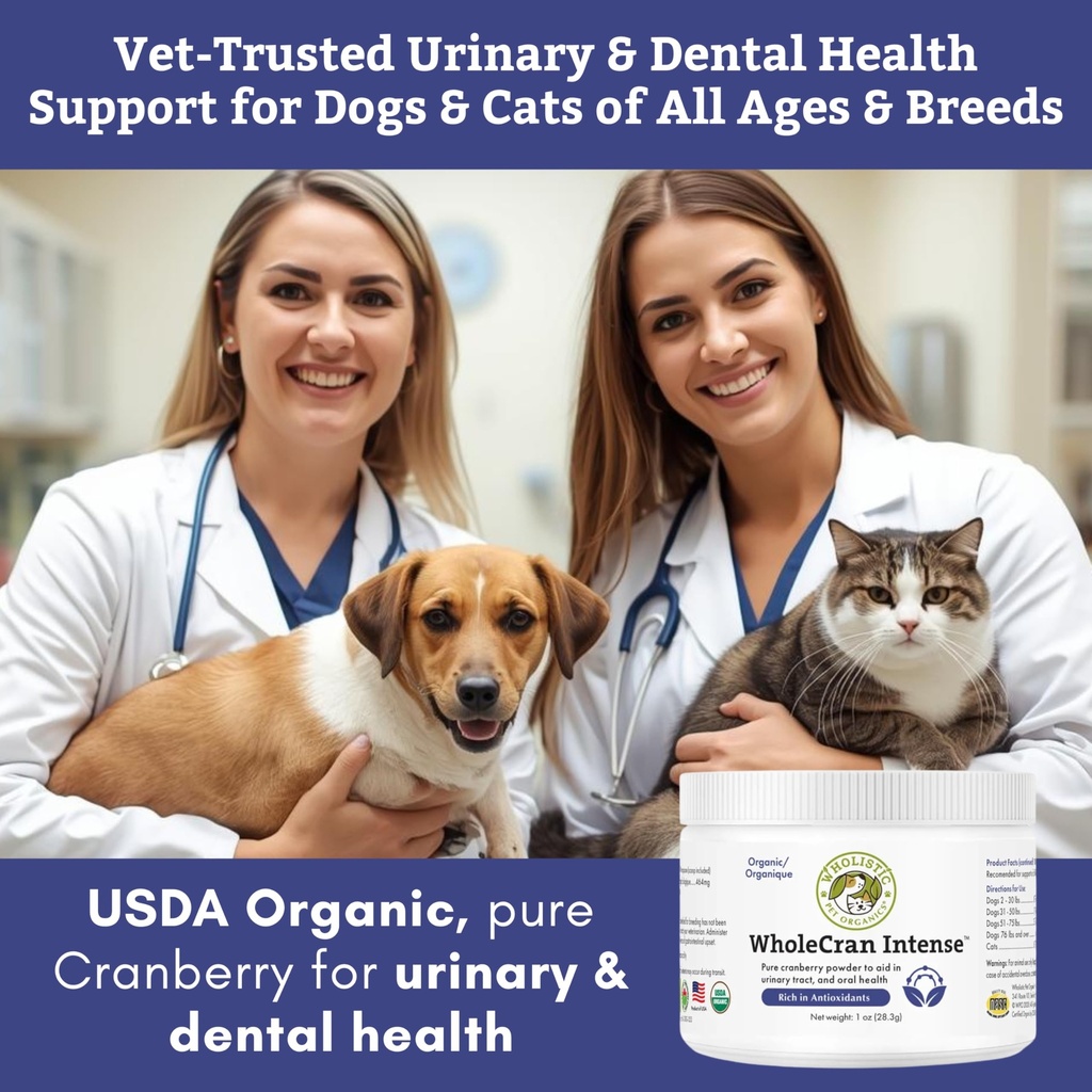 organic-cranberry-supplement-for-dogs-an-81S5+Qye8UL.jpg