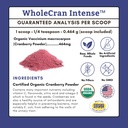 organic-cranberry-supplement-for-dogs-an-81QkQiu3efL.jpg