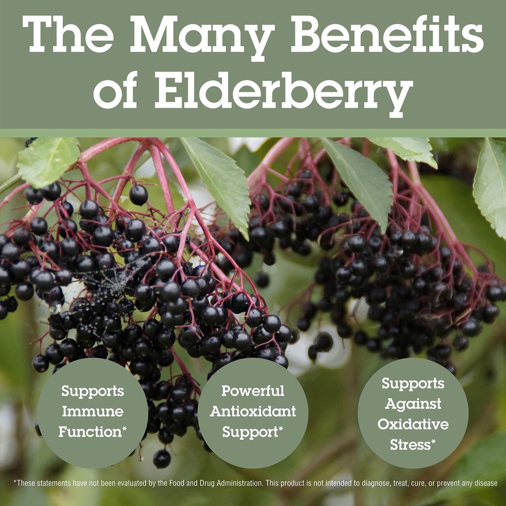 quantum-health-elderberry-lozenges-raspb-814I0qSWDFL.jpg