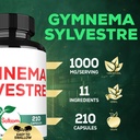satoomi-1000mg-gymnema-sylvestre-supplem-81Tlif8ndBL.jpg