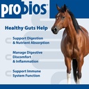 probios-horse-probiotic-soft-chews-apple-81ouv-5bo8L.jpg