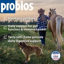 probios-horse-probiotic-soft-chews-apple-91qFE7D-c0L.jpg