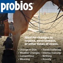 probios-horse-probiotic-soft-chews-apple-916UPdLDFTL.jpg