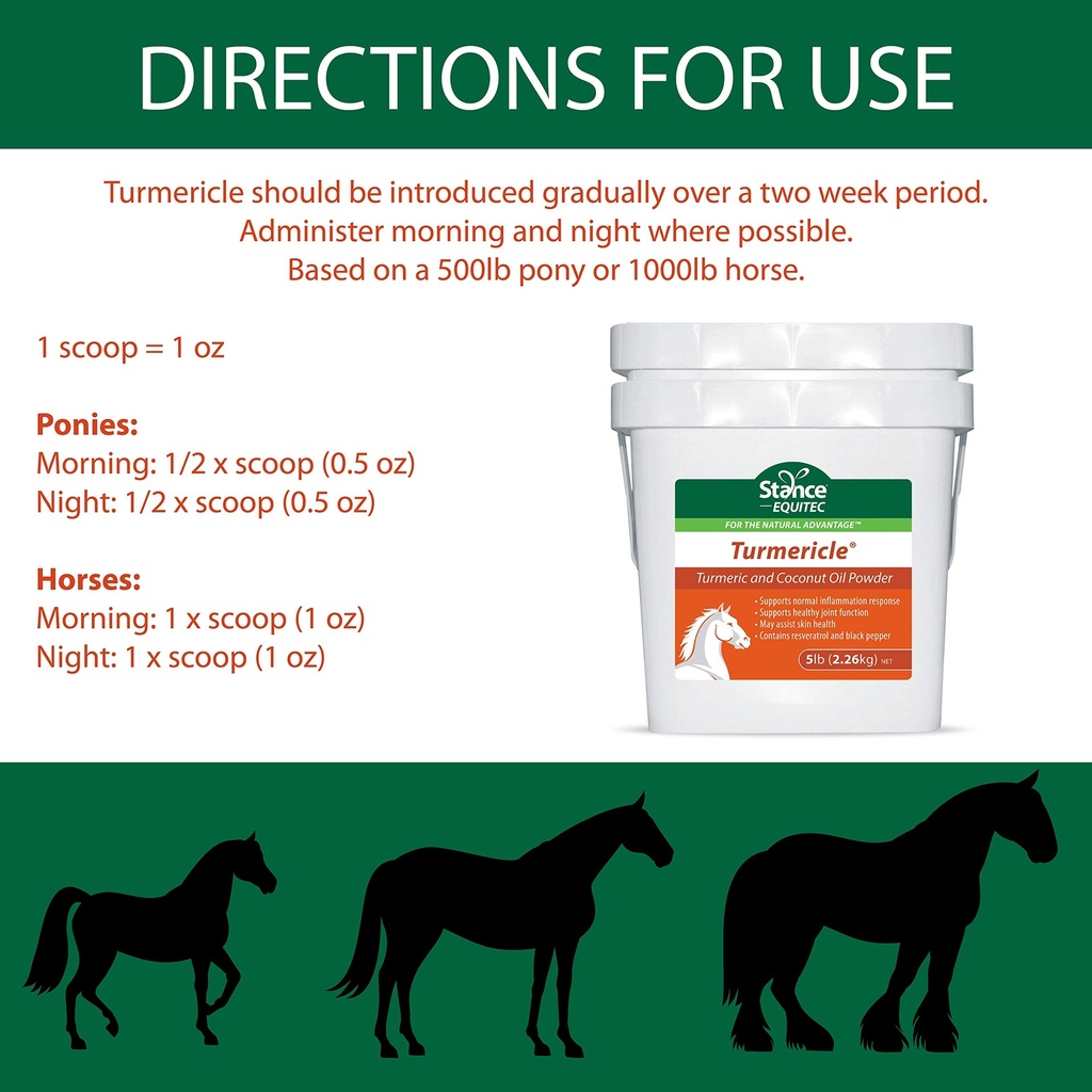 stance-natural-turmeric-powder-for-horse-81oEPICGtwL.jpg
