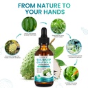 soursop-graviola-liquid-drop-soursop-oil-71kl2tiYE5L.jpg