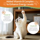 6-in-1-kidney-support-for-cats-dogs-prom-718UINpKCkL.jpg