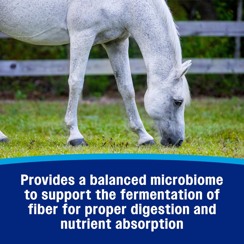 farnam-hindgut-stabilizer-pellets-daily--91bdtzRdtTL.jpg