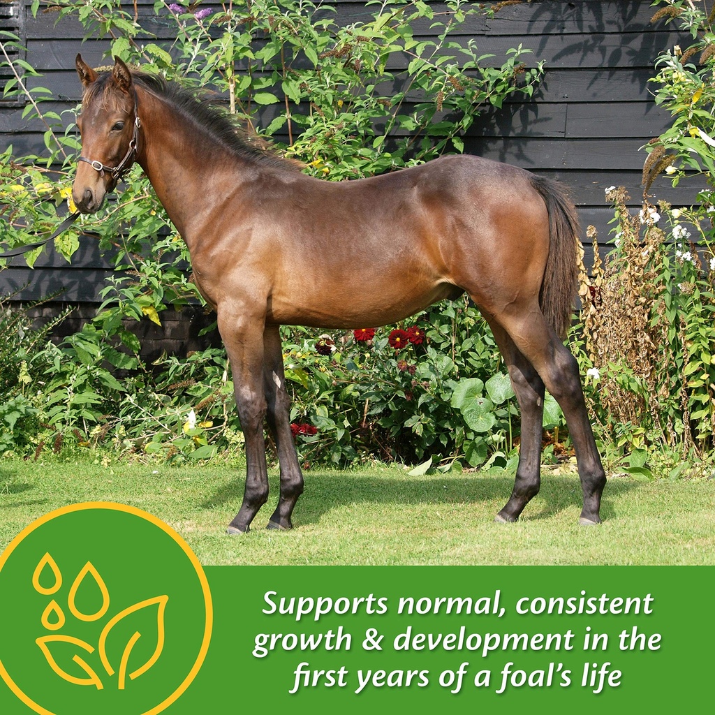 farnam-grow-colt-supplement-for-foal-gro-A1aVM+Ibv6L.jpg