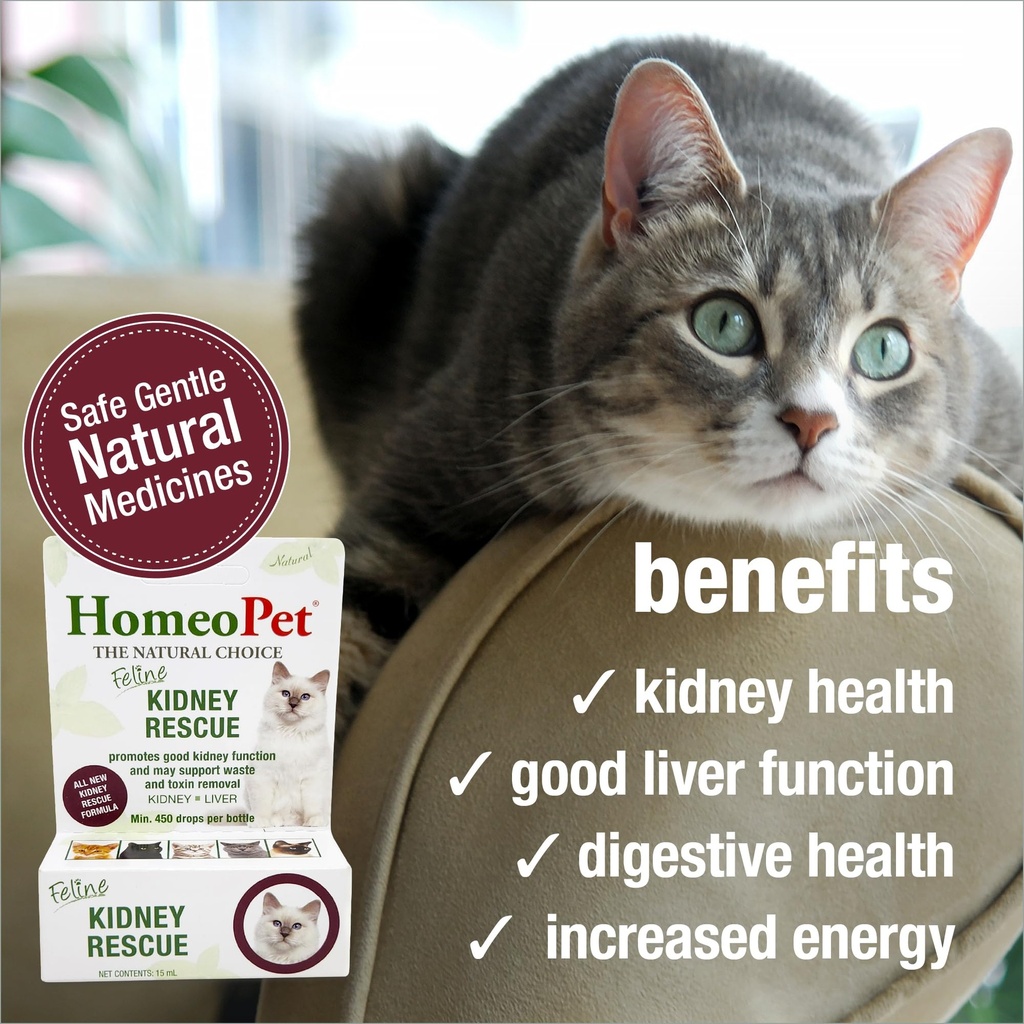 homeopet-feline-kidney-rescue-supplement-813yVr73nhL.jpg