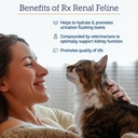 rx-vitamins-renal-feline-cat-kidney-supp-81-brqHHSEL.jpg
