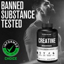 jacked-factory-creatine-monohydrate-caps-81qo0a0qivL.jpg