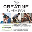 muscle-feast-creapure-creatine-monohydra-71dt2qVwz5L.jpg