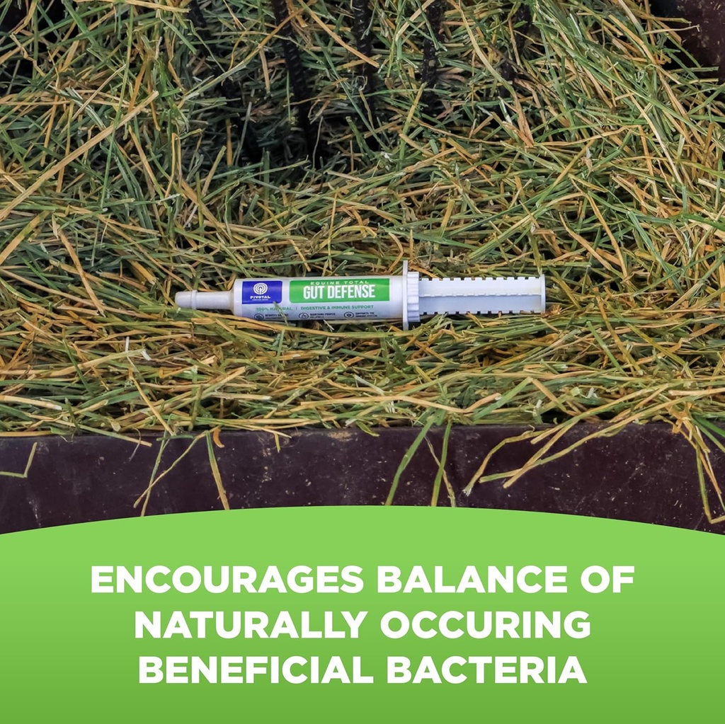 equine-total-gut-defense-all-natural-dig-5.jpg