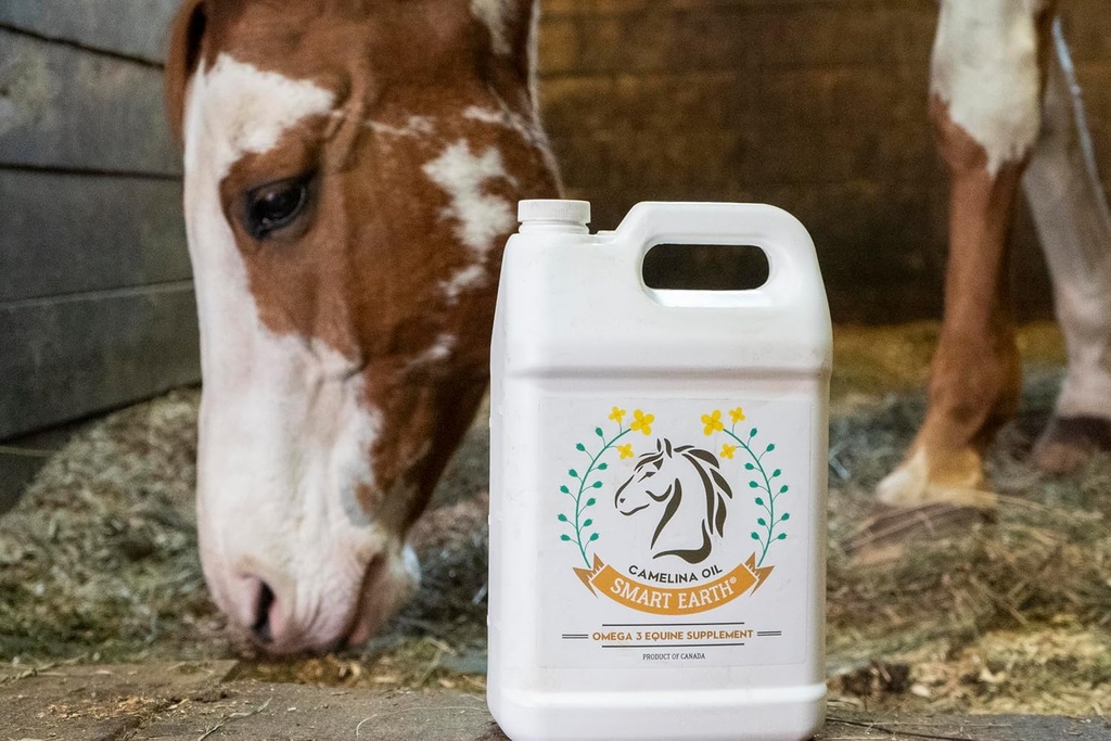 100-pure-camelina-oil-for-horses-omega-3-6.jpg
